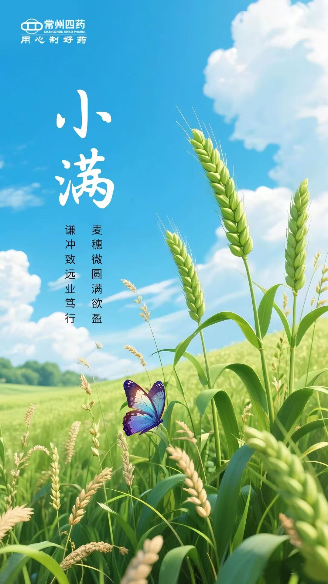 ����С�� | ����С��ӯ��������ǡ����ʱ